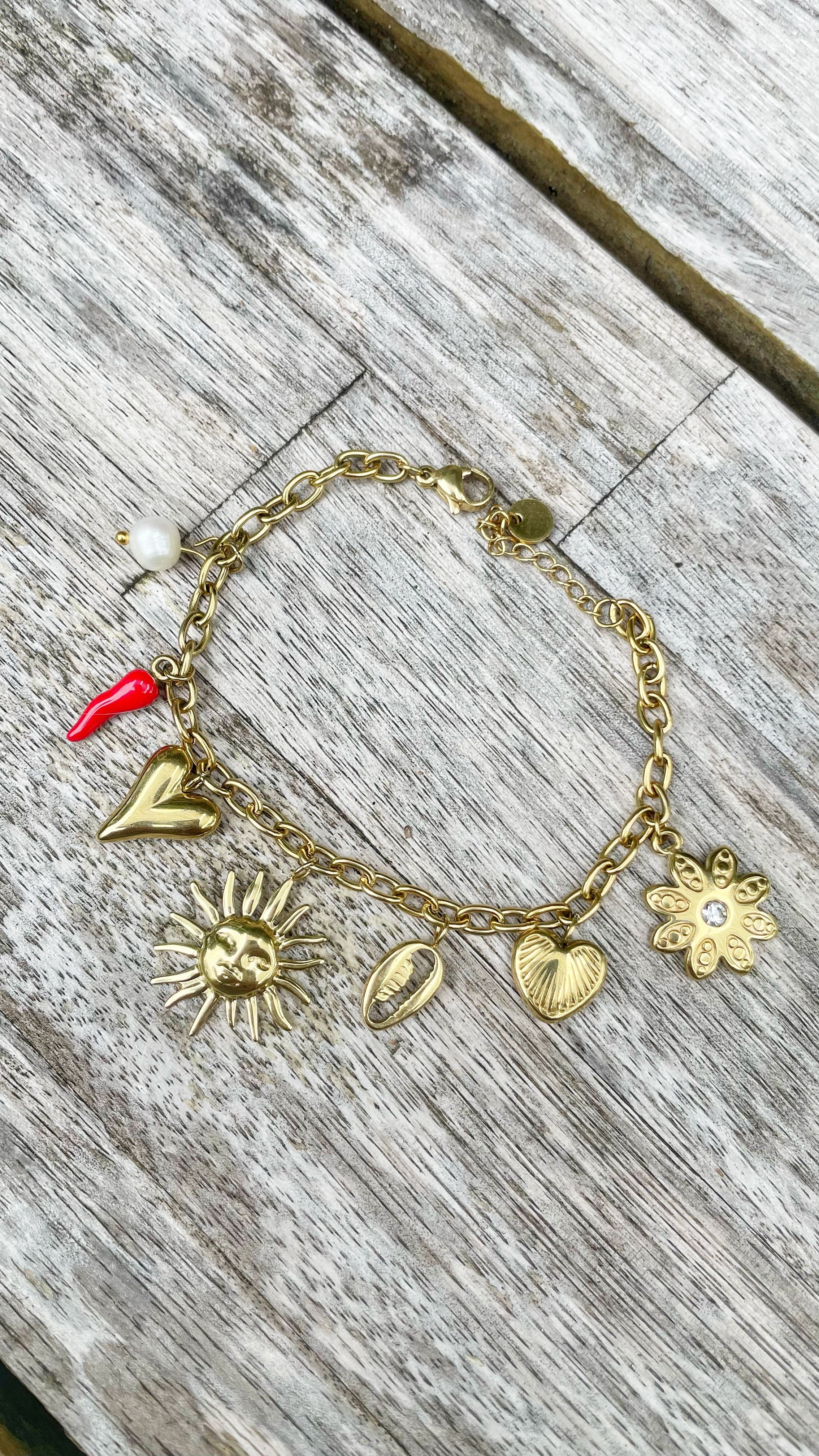 Charm bracelet