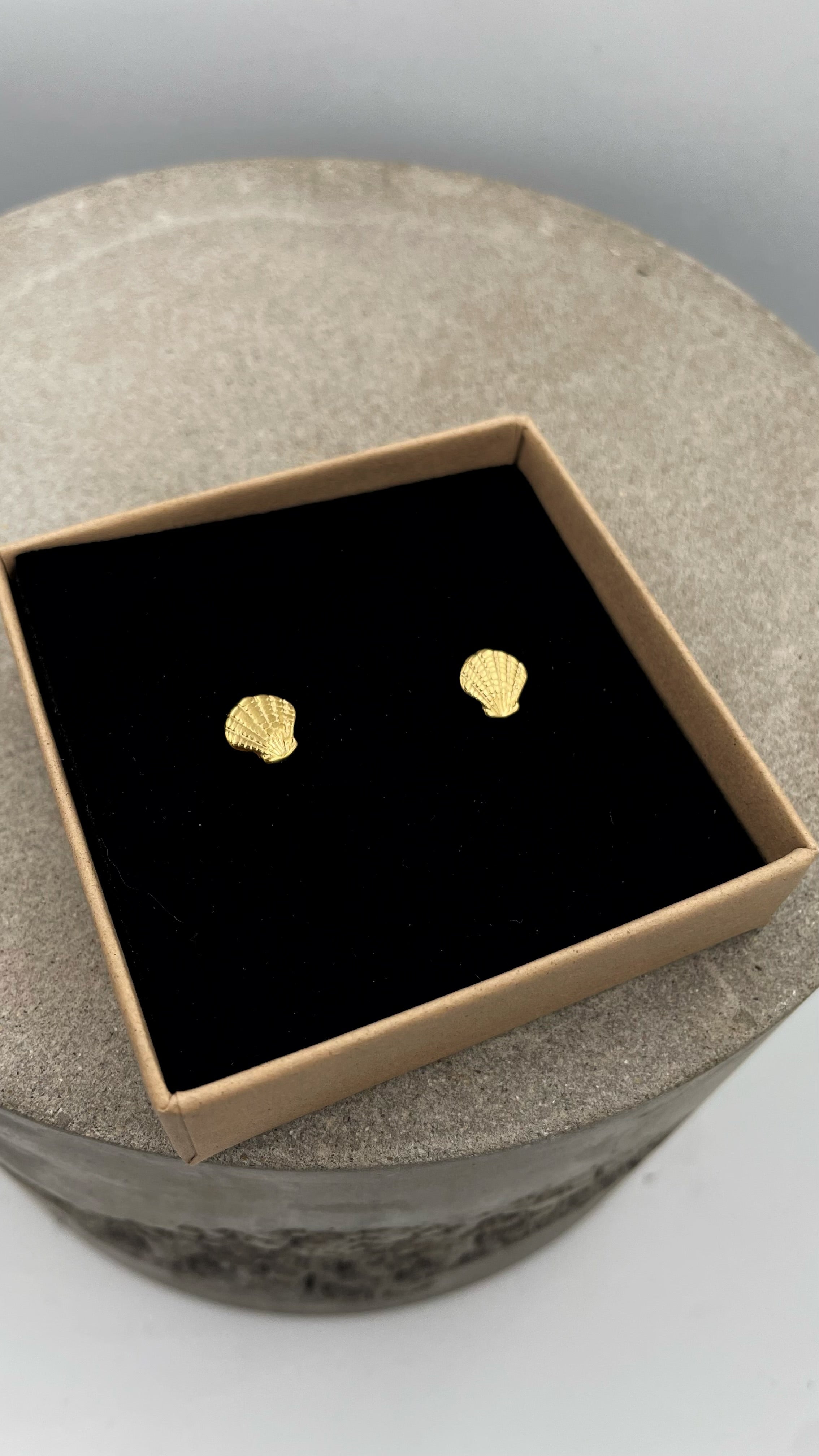 Schelp stekertjes